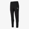 PUMA Trenerka EVORSTRIPE PANTS