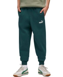 Alternative view of PUMA Trenerka ESS LOGO HOODIE FL