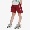 CHAMPION Šorcevi CLASSIC SHORTS